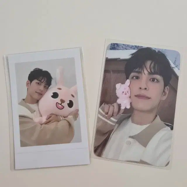 데이식스 자이언트 데니멀즈 필