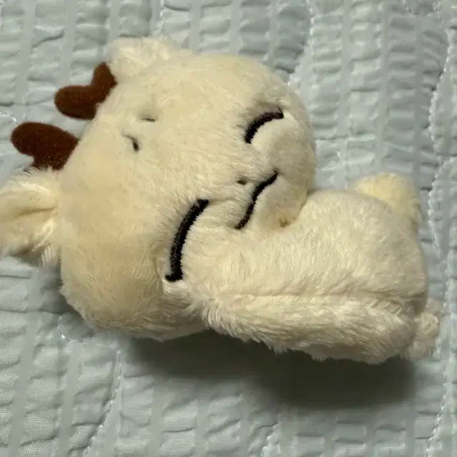 쫑모찌 인형