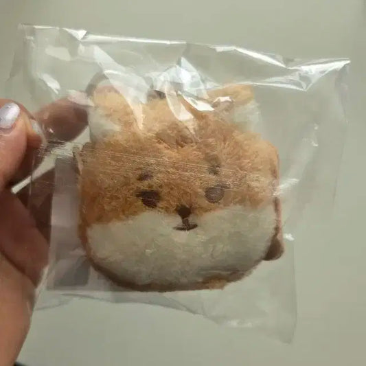 (배송비 포함) 데이식스 쁘띠 데니멀즈 백팩 피날레인서울