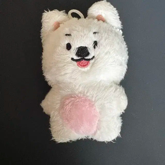 더보이즈 아이돌 인형