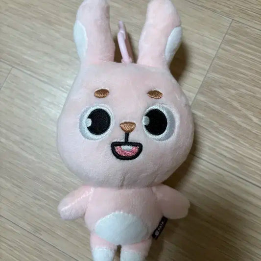 데이식스 2024 필끼 데니멀즈