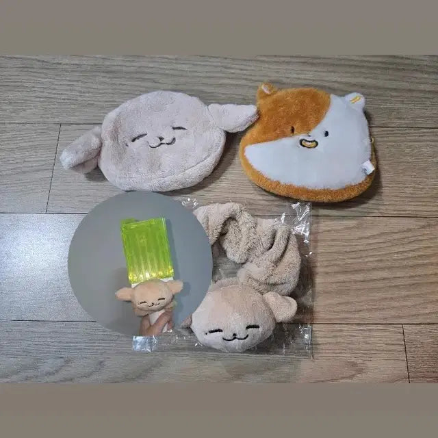 포켓젠 포켓찌 동전찌 슈슈 양도