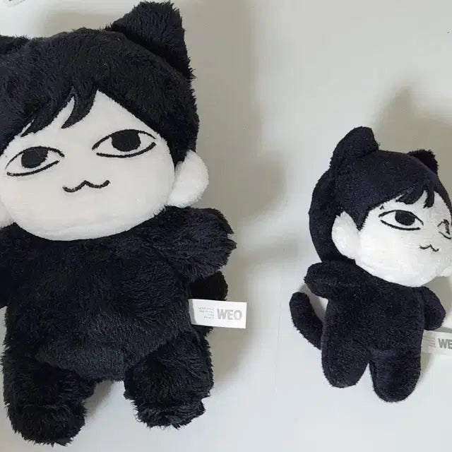 마물쭈 10cm 15cm