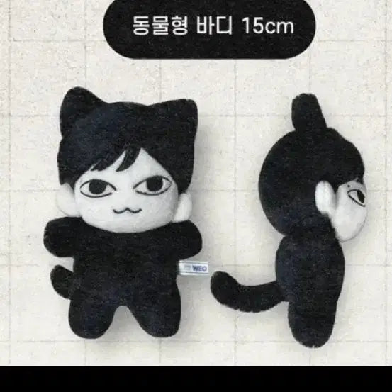 마물쭈 10cm 15cm