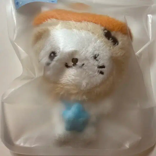 미개봉현물) 위시돌 버블냥 판매 엔시티위시 인형