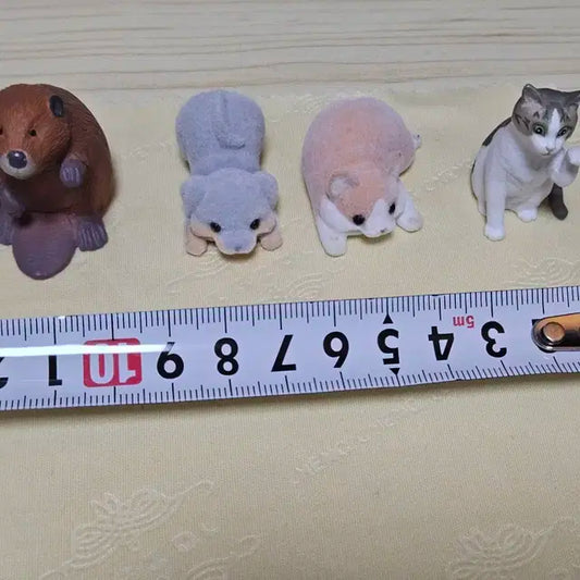 인형들