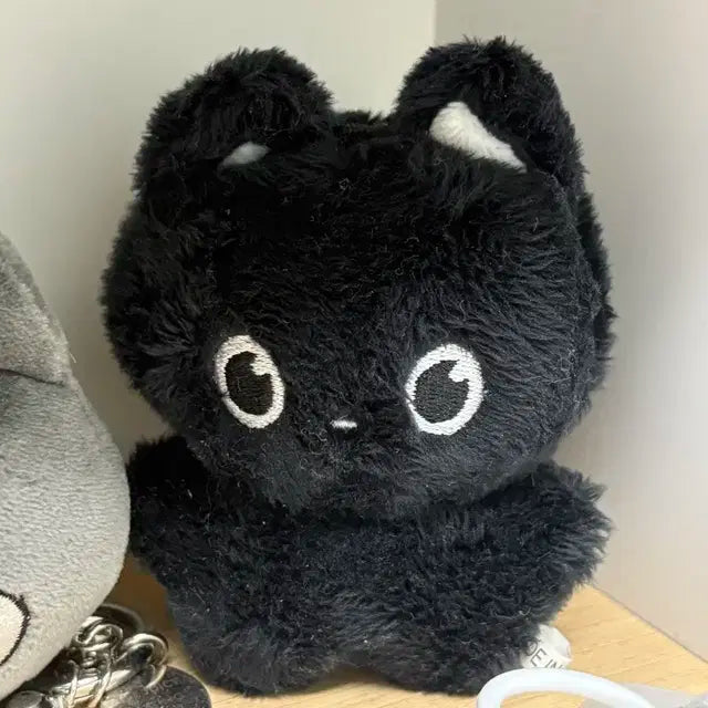 라이즈 원빈 인형 냥삐 양도