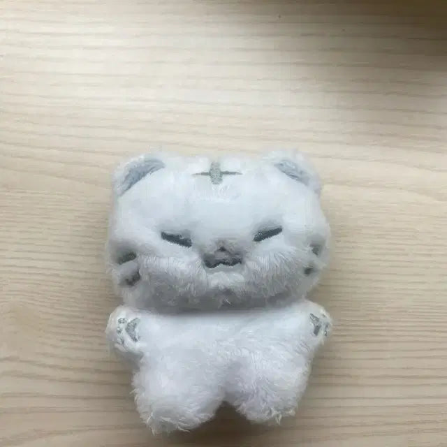 호시 인형 호찌 양도
