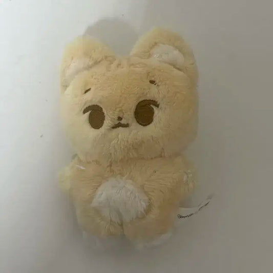 데이식스 영케이 케냥이 팝니당