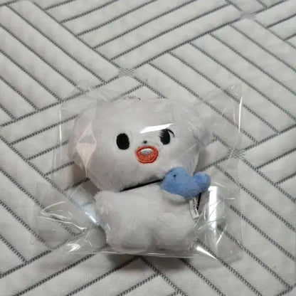 말티댕 판매
