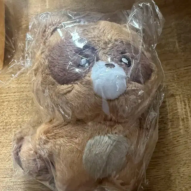 더보이즈 선우 인형(공식MD인형, 떤코,쪼구리,울망구리,쪼레페)
