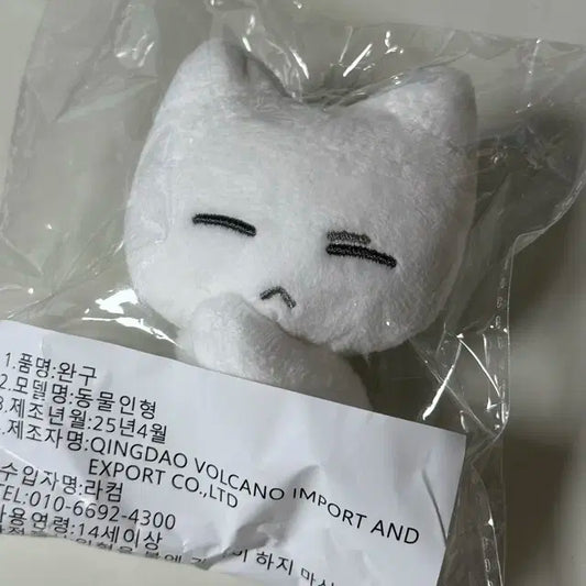 보넥도 성호 인형 눕삐냥 양도