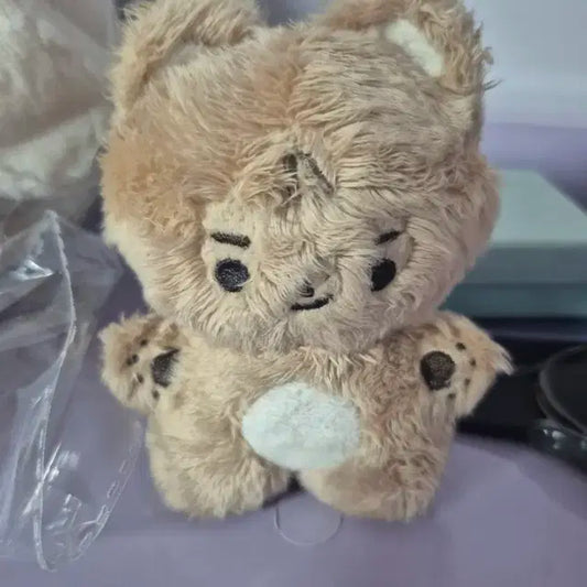 더보이즈 현재 인형 콩재 콩쨰
