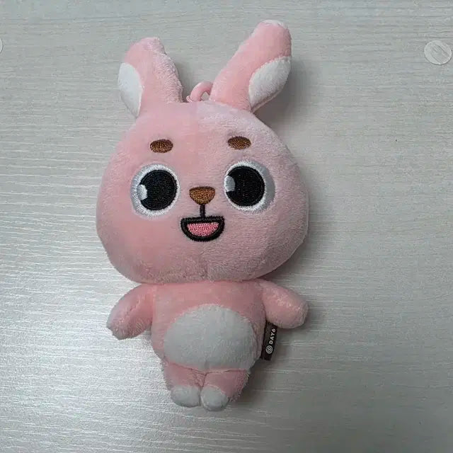 데이식스 데니멀즈 22필 양도