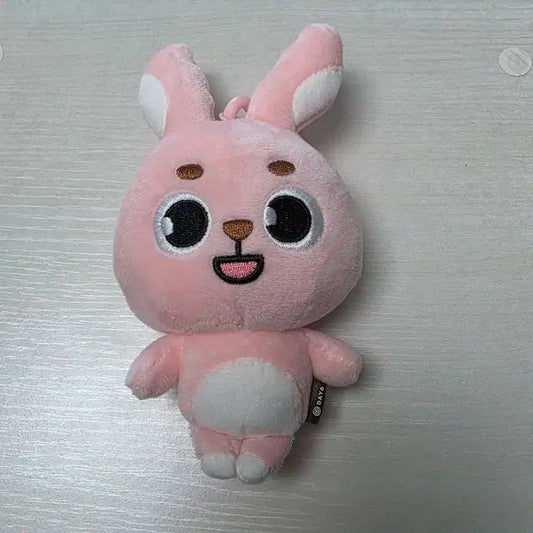 데이식스 데니멀즈 22필 양도