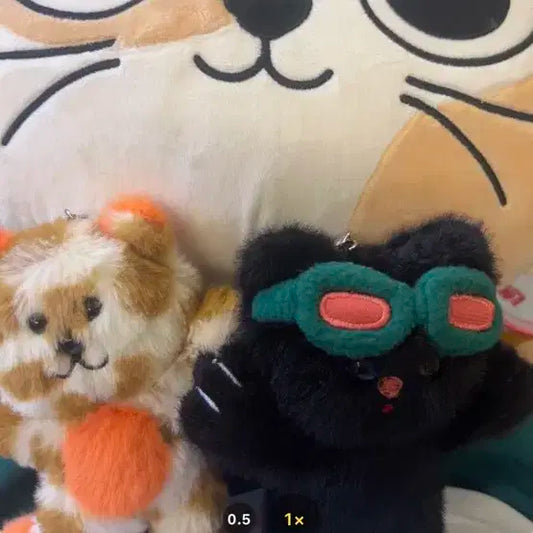 쁘넥도 삼한이 한탯풍 양도