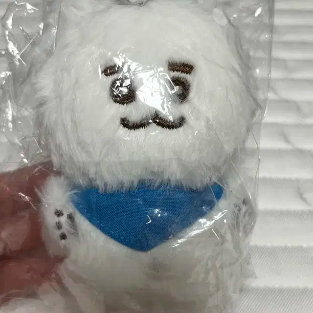 샤이니 인형 굿즈 판매합니다