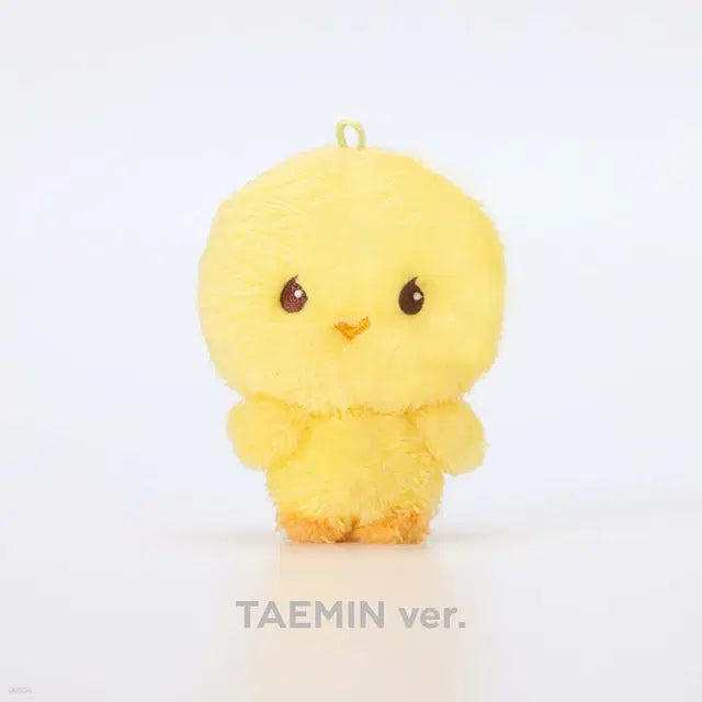 샤이니 10cm 인형 3개 일괄(23년 예약판매 제품)/ 개별판매 가능