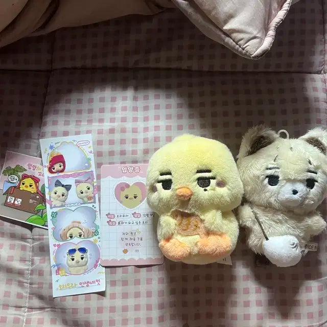 아기퓨니 양도