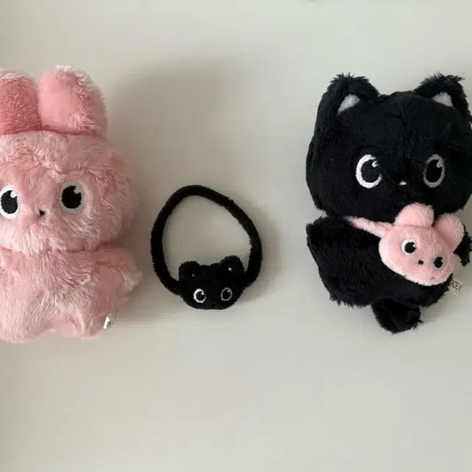 라이즈원빈 또삐,냥삐