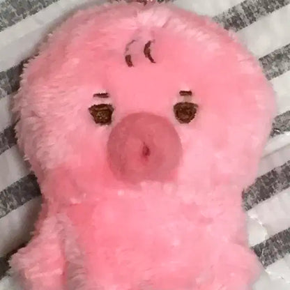 떤코 떤코야끼 더보이즈 선우 인형 망토 포함 싸게 양도합니다