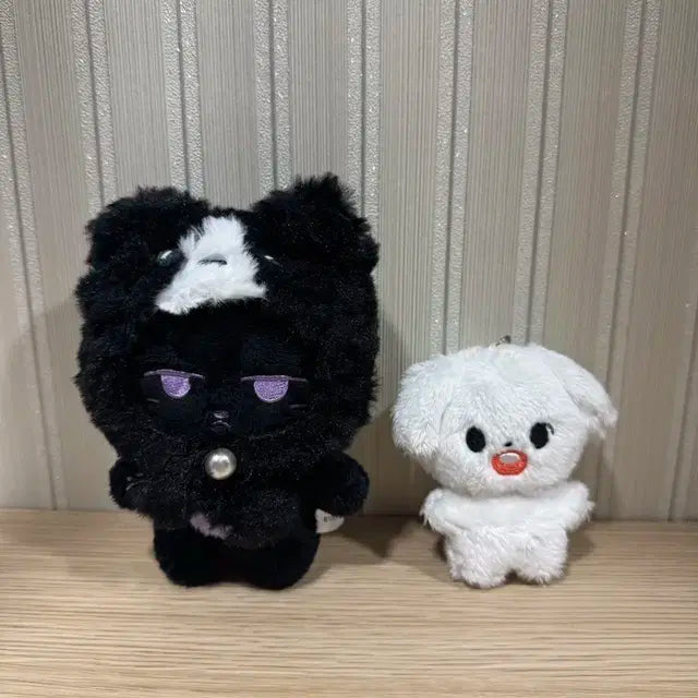 몬스타엑스 몬뭉치 냥균이 말티댕 몬엑 아이엠 민혁