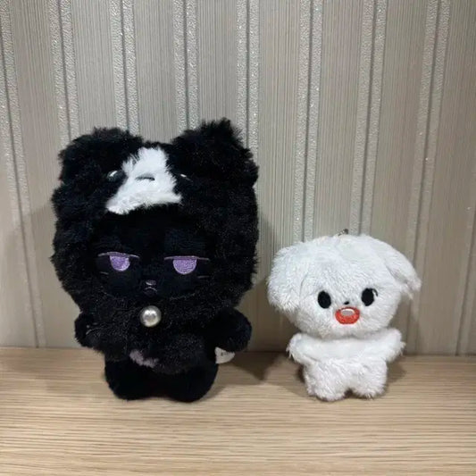 몬스타엑스 몬뭉치 냥균이 말티댕 몬엑 아이엠 민혁