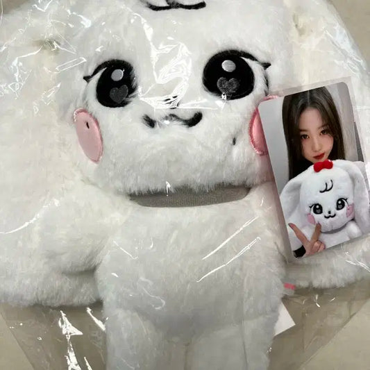 (미개봉)미니브 체리 + 포카 팔아요