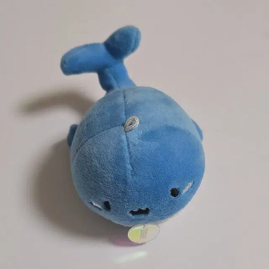 엔믹스 팬콘 엠디 10cm 고래 인형 양도