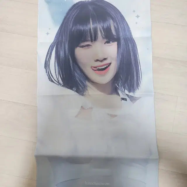 김채원 슬로건 2종