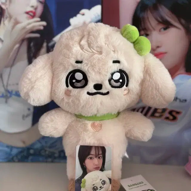 미니브 강안지 30cm +포카