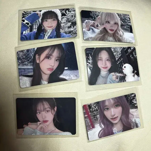 이이브 지갑포카