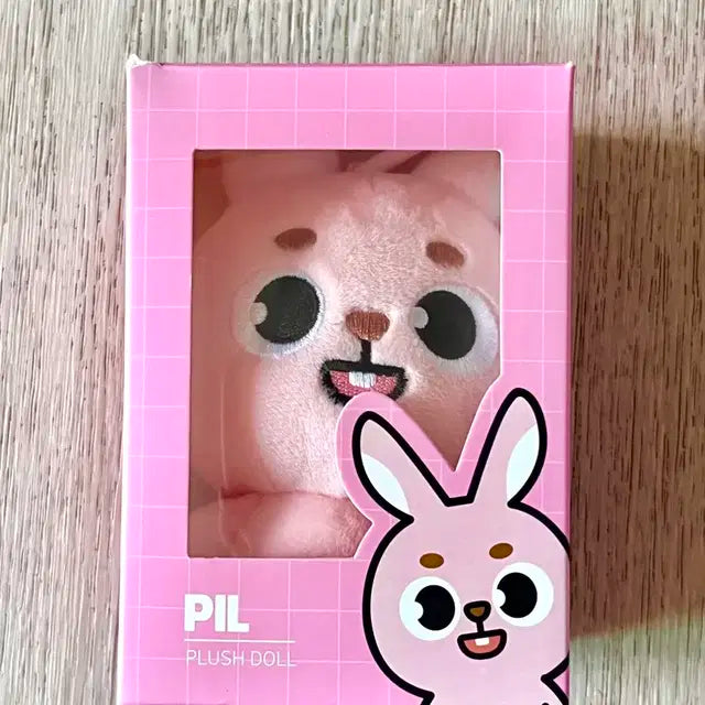 데이식스 데니멀즈 24 필 판매합니다!