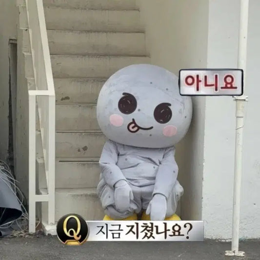 송용돌이 판매