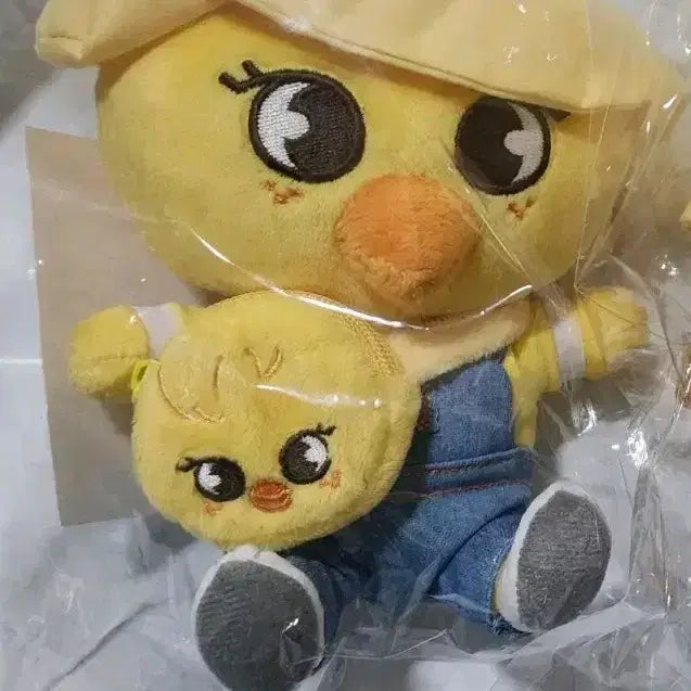 스키즈 스키주 유치원생 일본 팝업 뽁아리