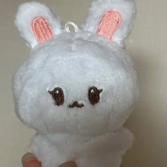 Nct 재민이 인형 포켓잼