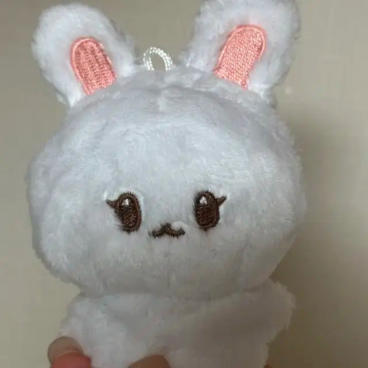 Nct 재민이 인형 포켓잼