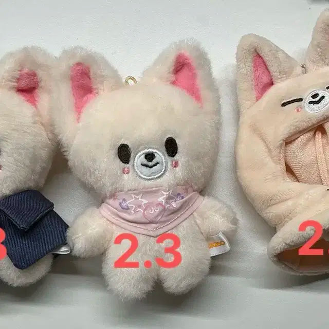 폭시니 양도