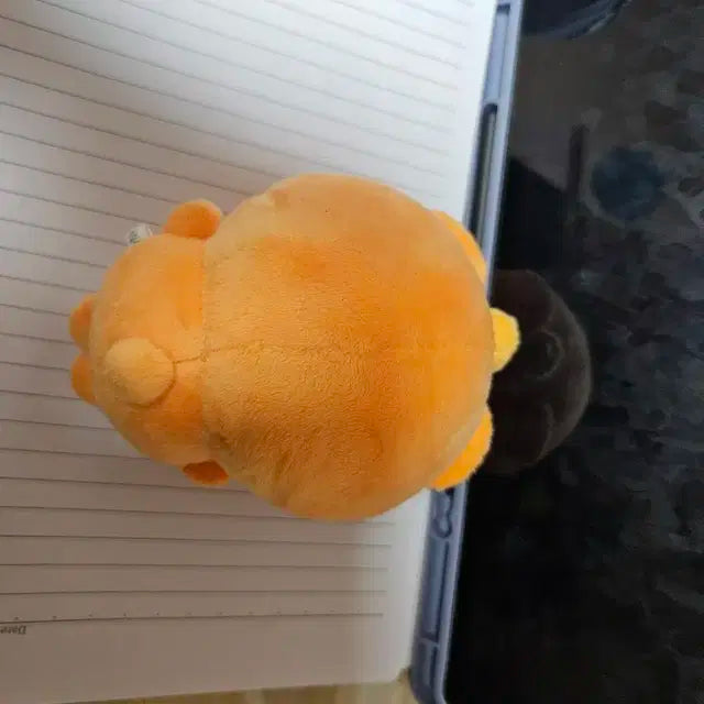 귤삐 부승관 인형 누이 판매 양도