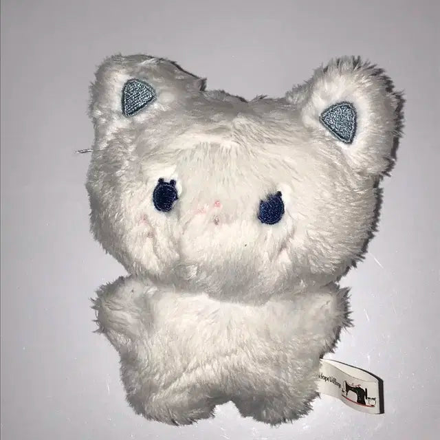 뽁냥이 뽁삐