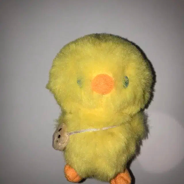 뽁냥이 뽁삐