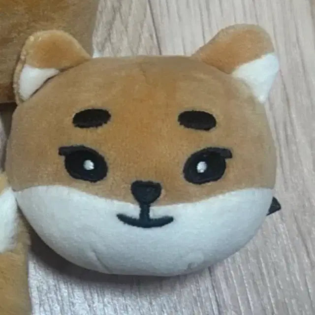 (원가양도) 데이식스 데니멀즈 케 스트레스볼 팝니다