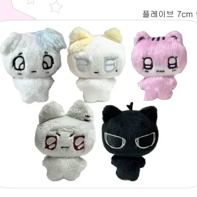 플레이브 인형 플부땅 2차 양도 쭈니땅 누아땅 바무땅 으노땅 미니땅
