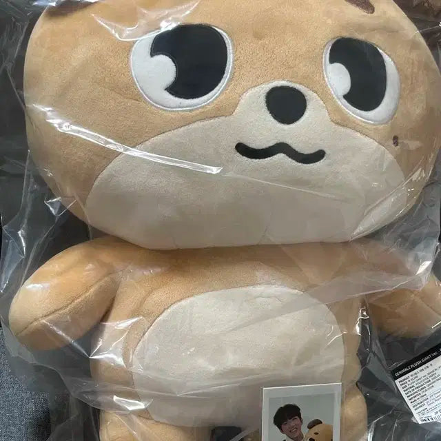 자이언트 데니멀즈 돈 도운