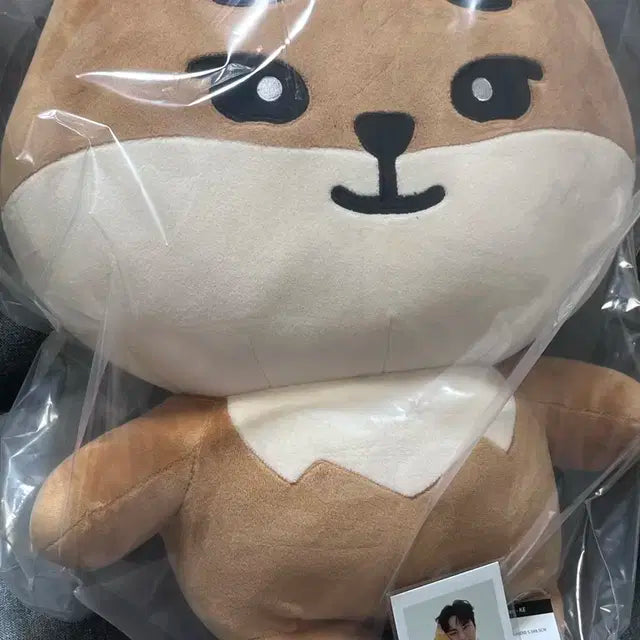 자이언트데니멀즈케 영케이