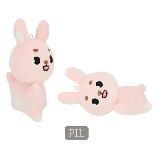 9월 17일까지만 판매) 데이식스 데멀 데니멀즈 손난로 필 필끼