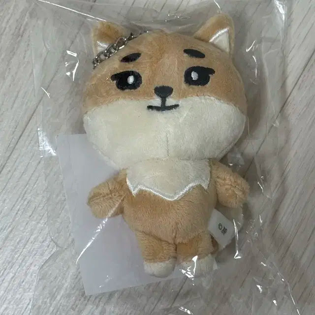 데이식스 데니멀즈 일본 엠디 백참 케