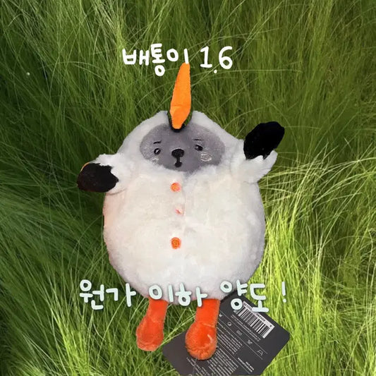 배통이 판매