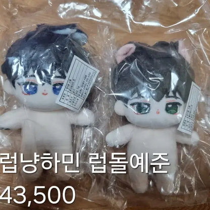 플레이브 속성 인형 대량 정리
