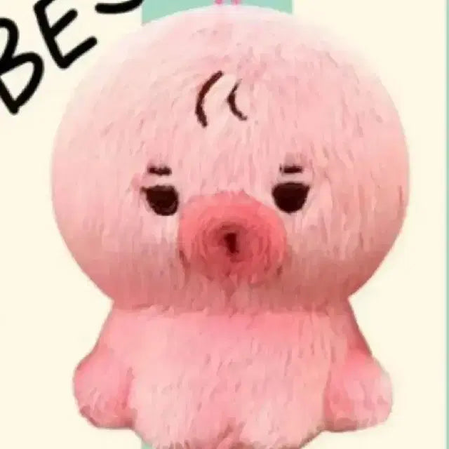 김선우 선우 더보이즈 떤코 10cm 인형